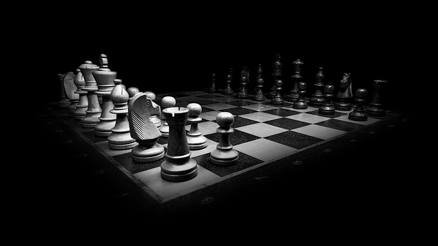 Purpose of the Pawns in the Initial Setup